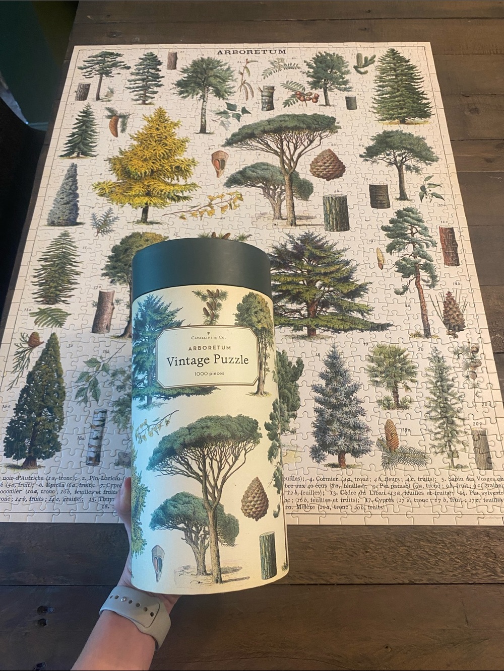 Cavallini & Co Arboretum Tree Puzzle